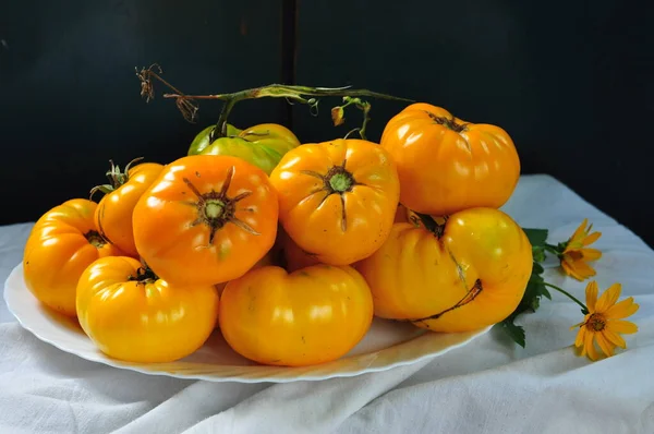 Fresh Ripe Tomatoes Basket Black Background — Stock Photo, Image