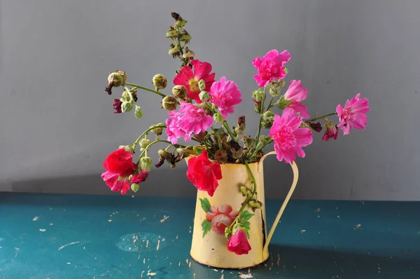 Schöne Blumen Einer Vase Auf Weißem Hintergrund — Stockfoto
