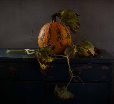 Cadılar bayramı, balkabağı ve sebzelerle dolu.