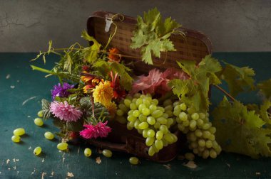 Üzüm ve yeşil yapraklar kırsal alanda. Sonbahar sakin hayat.