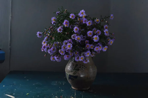 Vazodaki Çiçekler Beyaz Arkaplanda — Stok fotoğraf