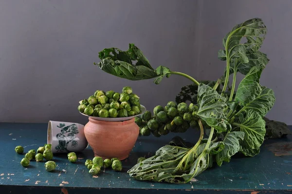 Verdure Fresche Verdi Rosse Tavola Legno — Foto Stock