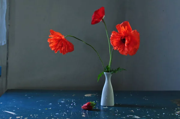 beautiful red poppies flowers in vase