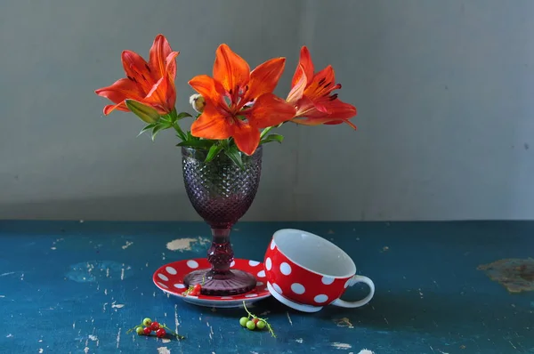 Koyu Arkaplanda Kırmızı Zambak Çiçekleri — Stok fotoğraf