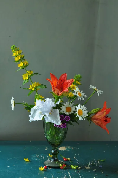 Bahçenin Güzel Çiçekleri — Stok fotoğraf