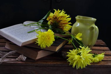 Bir kitap ve bir fincan çayla dolu bir hayat