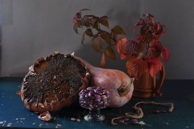 Bir balkabağıyla hayat