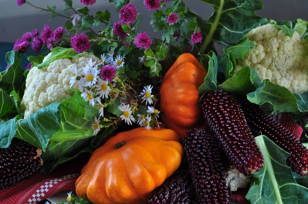 Fundo Outono Com Diferentes Vegetais Frutas — Fotografia de Stock