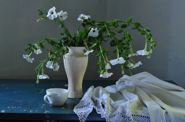 Masada Beyaz Mavi Çiçeklerle Dolu Bir Hayat — Stok fotoğraf