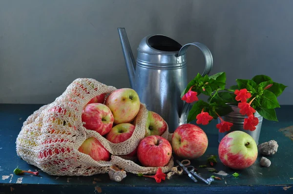 木背上挂着苹果和梨的静谧生活 — 图库照片