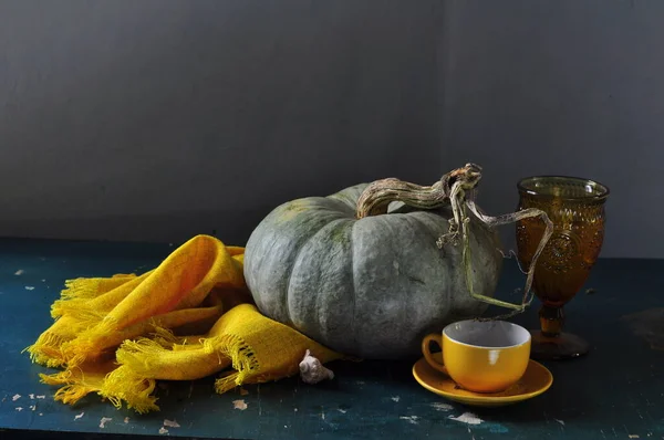 stock image autumn still life with pumpkin, pumpkins, nuts, seeds and a glass of wine.