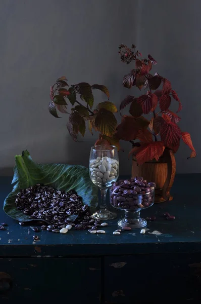 Still Life Bunch Grapes Glass Wine — Foto de Stock