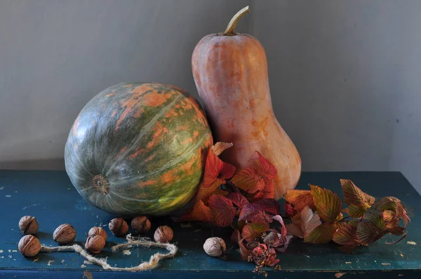 Autumn Harvest Pumpkins Pumpkin Nuts Apples Squash Other Vegetables Wooden — Stock Photo, Image
