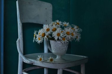 Beyaz arka planda vazodaki güzel çiçekler 