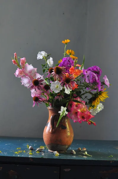 Karanlık Bir Arka Planda Saksıda Güzel Çiçekler — Stok fotoğraf