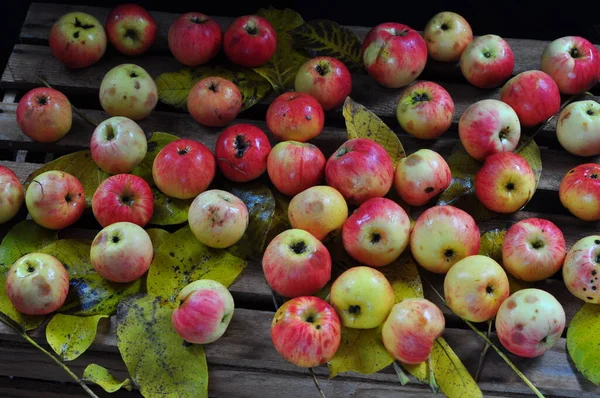 Pommes Mûres Sur Fond Bois — Photo