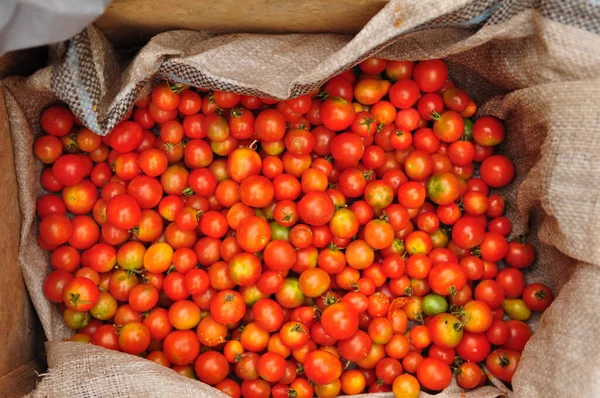 Organic Red Ripe Tomatoes Market — Stock Photo, Image