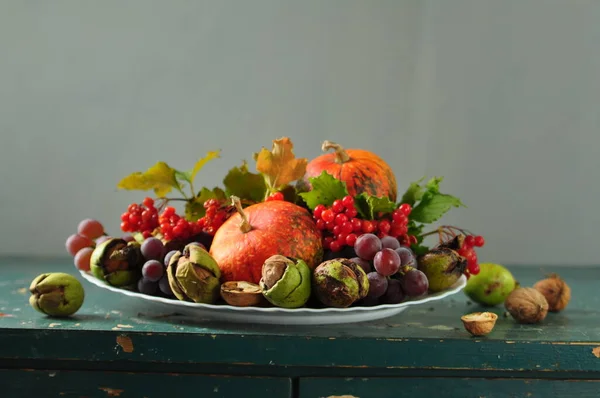 Herfst Oogst Stilleven Met Groenten Fruit — Stockfoto