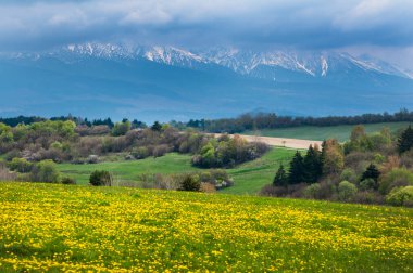 Arkasında bir dağ olan güzel bir manzara.