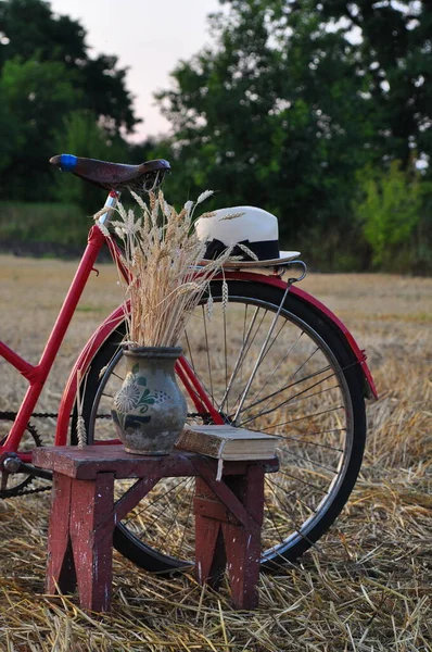 Vintage Stylu Obraz Starego Roweru Vintage Czerwoną Słomką Trawie Tle — Zdjęcie stockowe
