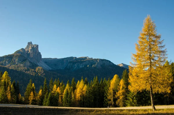 Podzimní Krajina Hory Lese — Stock fotografie