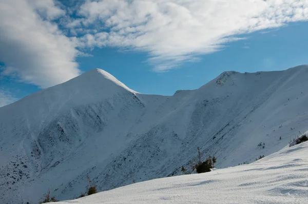 Hermoso Paisaje Invierno Con Árboles Cubiertos Nieve Picos Montaña —  Fotos de Stock