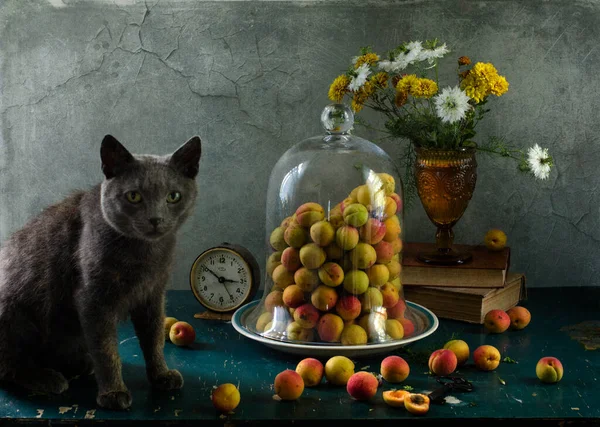 Stock image cat with a bunch of green apples, grapes and blueberries, a cup of tea