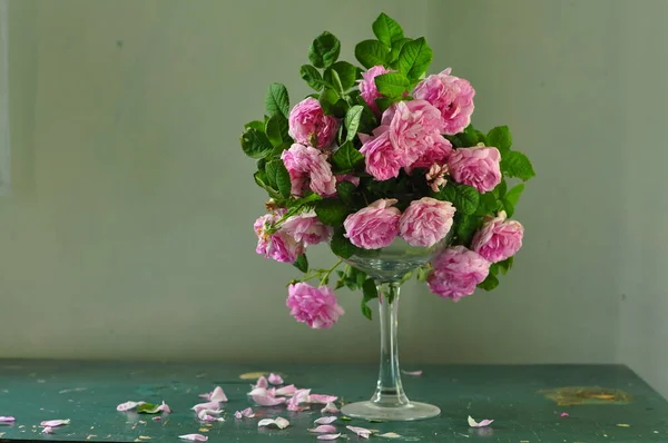 Schöner Strauß Rosen Einer Vase — Stockfoto