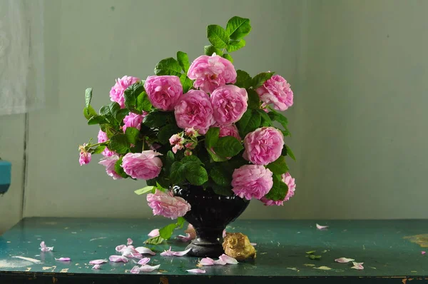 Schöne Blumen Der Vase Auf Dem Tisch — Stockfoto
