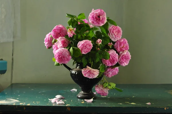 Schöne Blumen Der Vase Auf Dem Hintergrund — Stockfoto