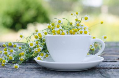 ahşap bir masaya çay ve papatya çiçek fincan 