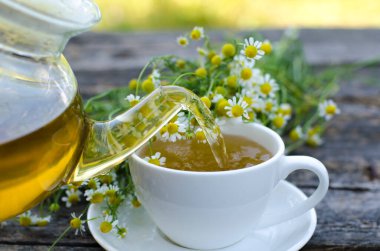 Papatya çiçeği ve yeşil yapraklı bir fincan çay.