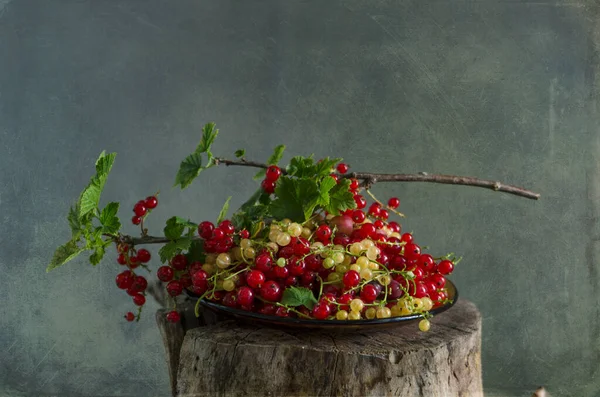 stock image still life of red and yellow currants 