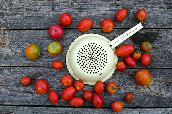 Fresh Tomato Basil Wooden Table — Stock Photo, Image
