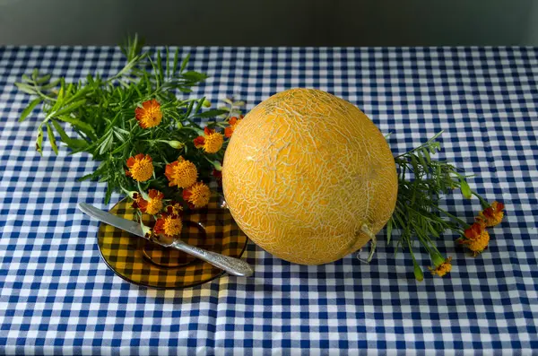 Fresh Fruit Orange Tangerine Cut Garden — Stock Photo, Image