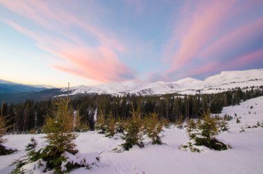 Dağlarda karlı köknar ağaçları olan kış manzarası. 
