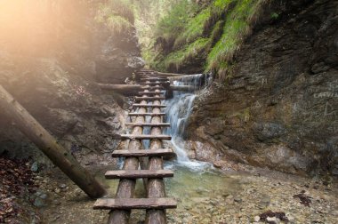 Ormanda ahşap köprü 