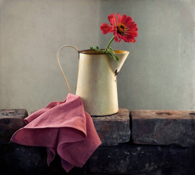 Çiçeklerle dolu hayat 