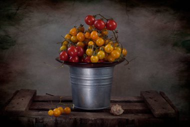 Taze kiraz domatesleri ve kiraz domatesleriyle hayat 