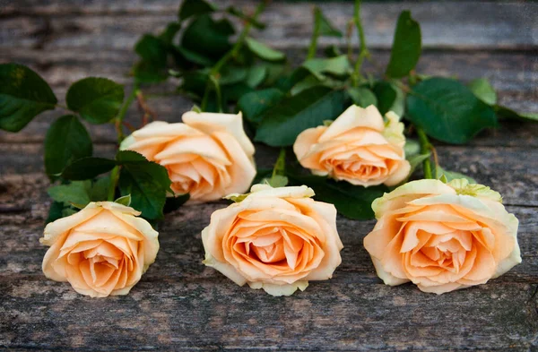 新鲜橙红色玫瑰的花束 — 图库照片