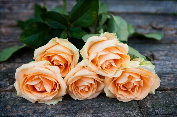 新鲜玫瑰花束 — 图库照片