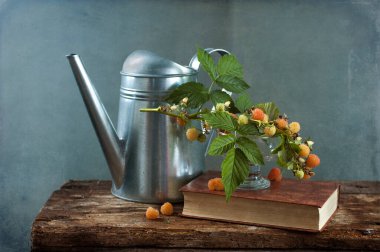 Taze meyve ve klasik yaşam 