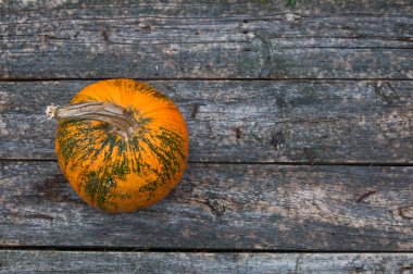 Tahta arka planda bir balkabağı 