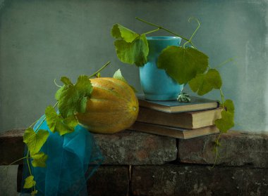 Balkabağıyla hayat 