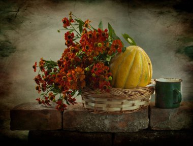 Bal kabakları ve çiçeklerle dolu eski moda bir arka plan. 