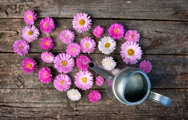 Çayın çiçekleri ve masanın üstünde bir fincan çay. 