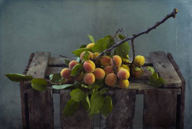 taze şeftali ile natürmort 