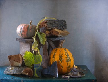 sonbahar kabakları ile natürmort 
