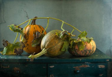 Kabak ile sonbahar yaprakları 