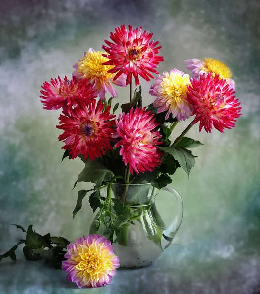 Красиві Рожеві Квіти Хризантем Темному Фоні — стокове фото